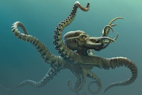 Kraken ссылка зеркало рабочее