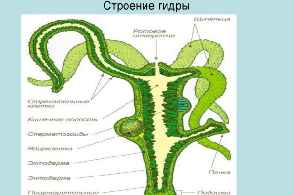 Кракен рабочая ссылка на официальный магазин